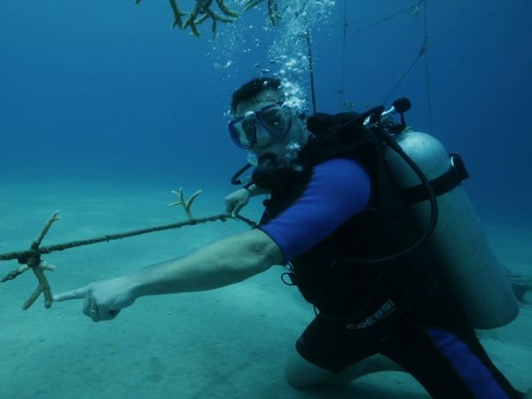 Ocean Treks With Jeff Corwin - Dominican Republic: Travel with Purpose