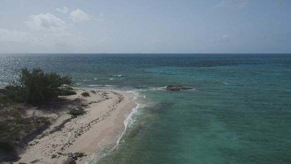 Ocean Treks With Jeff Corwin - Grand Turk: Journey Under the Sea