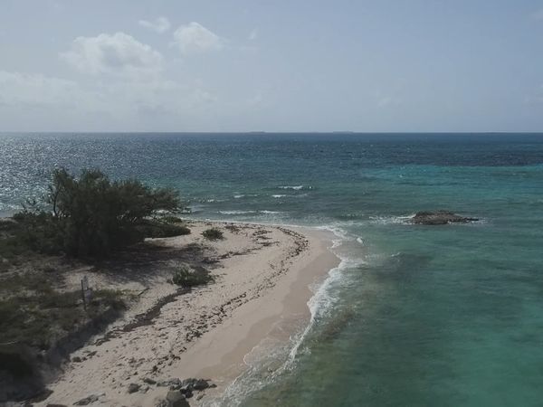 Ocean Treks With Jeff Corwin - Grand Turk: Journey Under the Sea