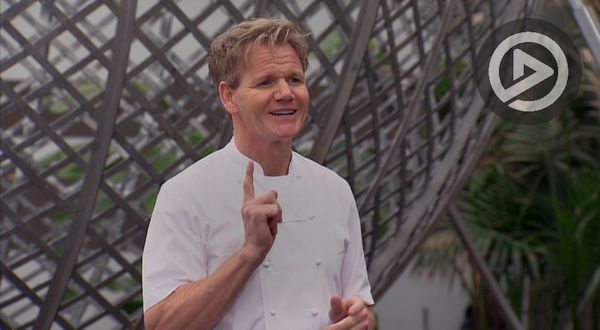 Hell's Kitchen - 19 Chefs Compete