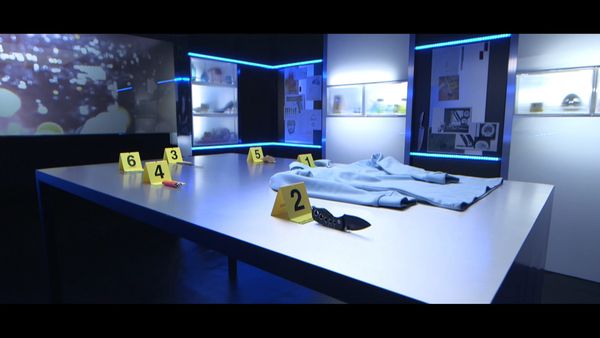 Crime Scene Solvers - Crime Scene Solvers: Killer Cop (Tavernier Case)