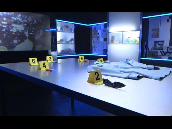Crime Scene Solvers - Crime Scene Solvers: Killer Cop (Tavernier Case)