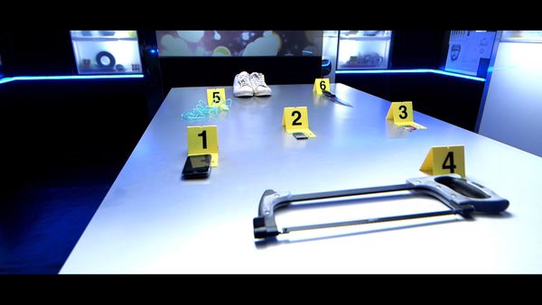 Crime Scene Solvers - Crime Scene Solvers: Ordeal of Schoolgirl (Perrais case)