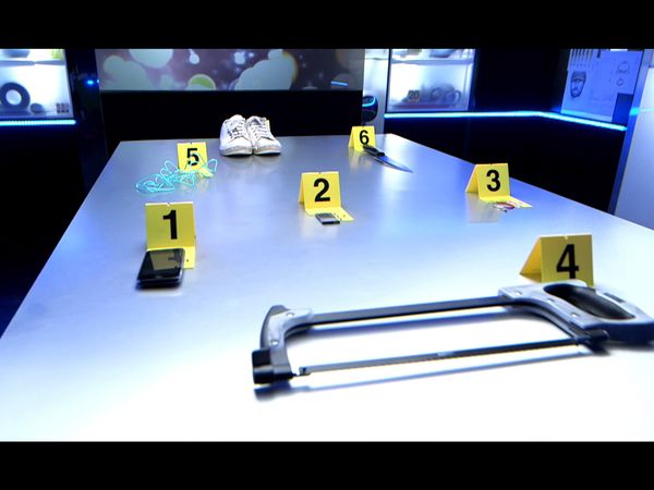 Crime Scene Solvers - Crime Scene Solvers: Ordeal of Schoolgirl (Perrais case)