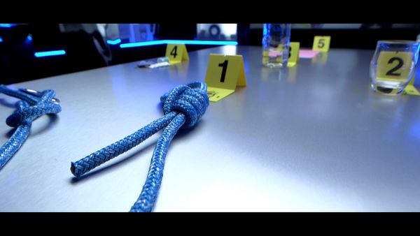 Crime Scene Solvers - Crime Scene Solvers: Mysterious Hanging On Houseboat (Aubry case)