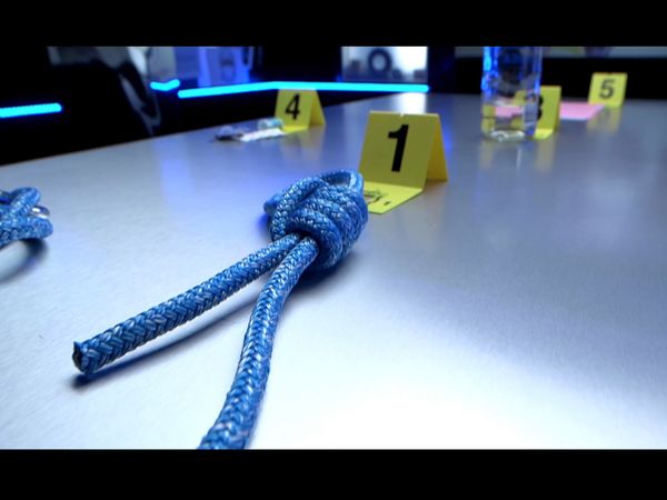Crime Scene Solvers - Crime Scene Solvers: Mysterious Hanging On Houseboat (Aubry case)