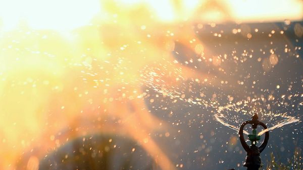 Im Bann der Jahreszeiten - Gluthitze