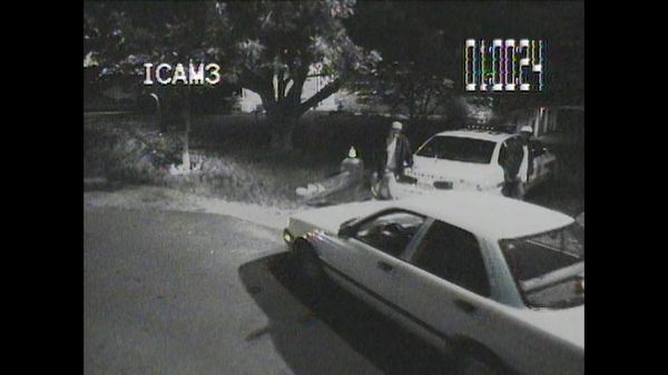 America's Dumbest Criminals - Skunk Driver