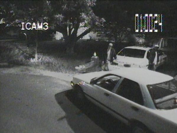 America's Dumbest Criminals - Skunk Driver