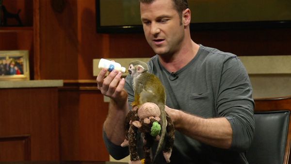 Larry King Now - Dave Salmoni