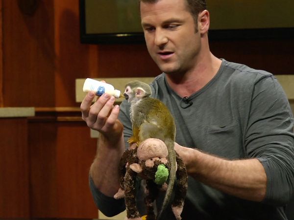 Larry King Now - Dave Salmoni