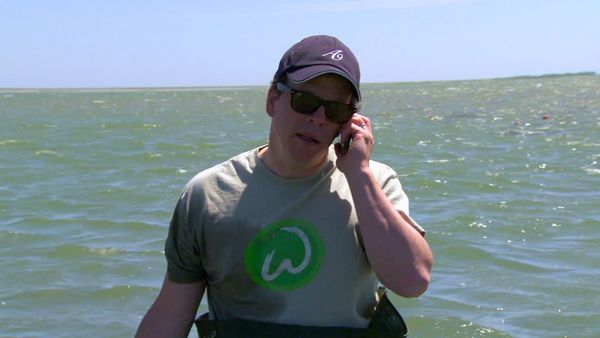 Wahlburgers - Meat the Press