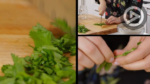The Urban Vegetarian - On Trend