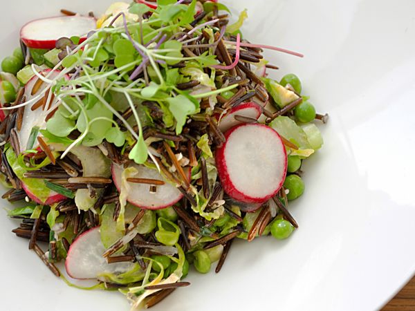 The Urban Vegetarian - Veggies Galore