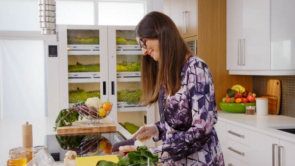 The Urban Vegetarian - A Lot on Your Plate
