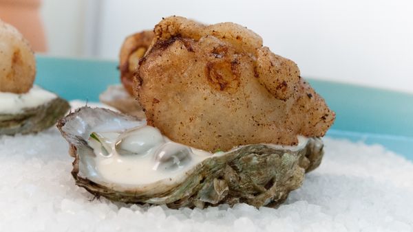 Fish the Dish - Crusted/Coated