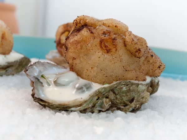Fish the Dish - Crusted/Coated