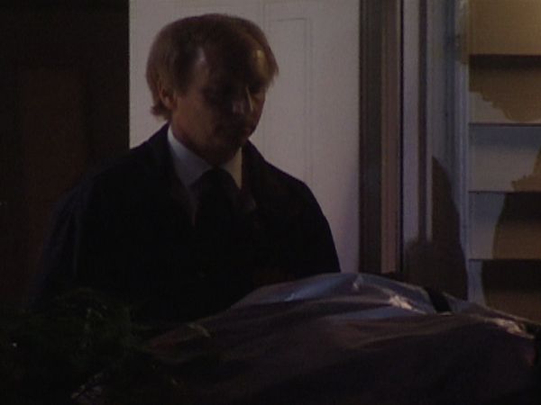 The Prosecutors: In Pursuit of Justice - Green Widow