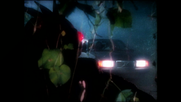 Unsolved Mysteries with Dennis Farina - Episode: 3