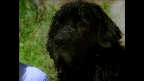 Unsolved Mysteries with Dennis Farina - Episode: 14