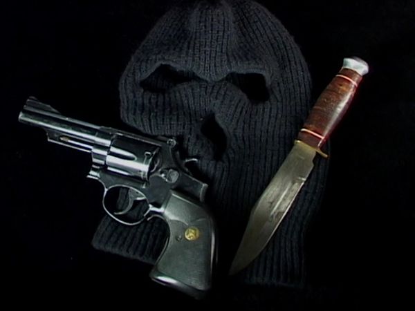 Cold Case Files Classic - The Original Nightstalker