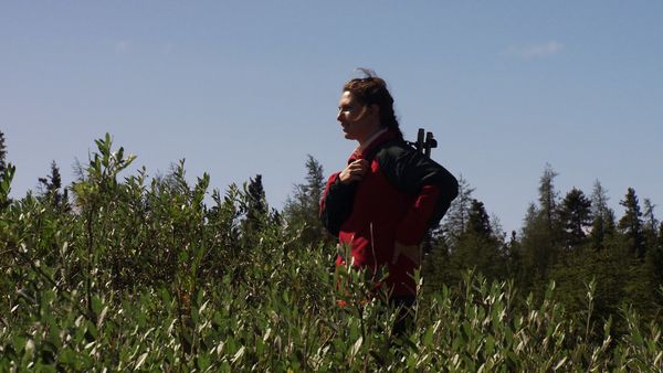 The National Parks Project - Wapusk