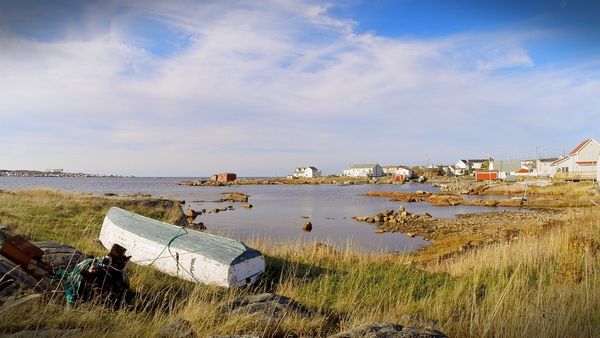 Still Standing - Fogo Island