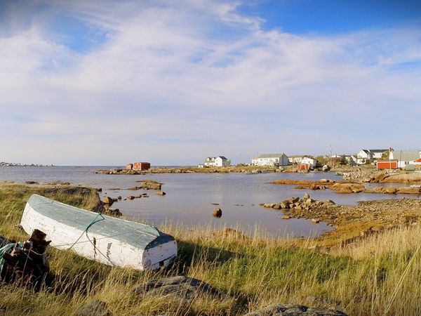 Still Standing - Fogo Island