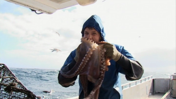 Million Dollar Catch - Predators