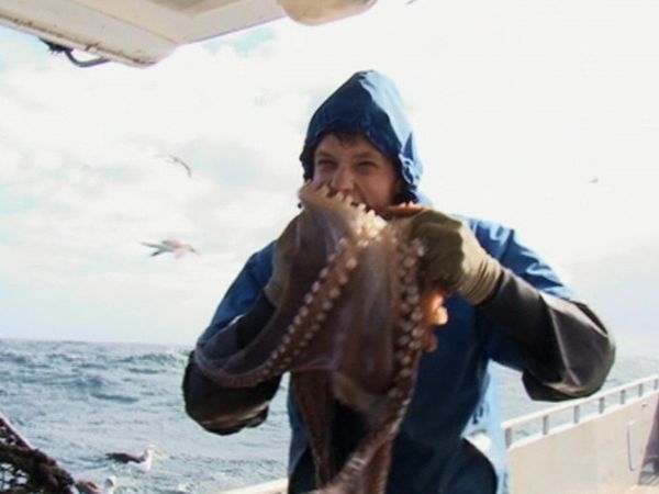 Million Dollar Catch - Predators