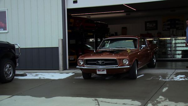 Car Hunters - Fastbacks and the Furious