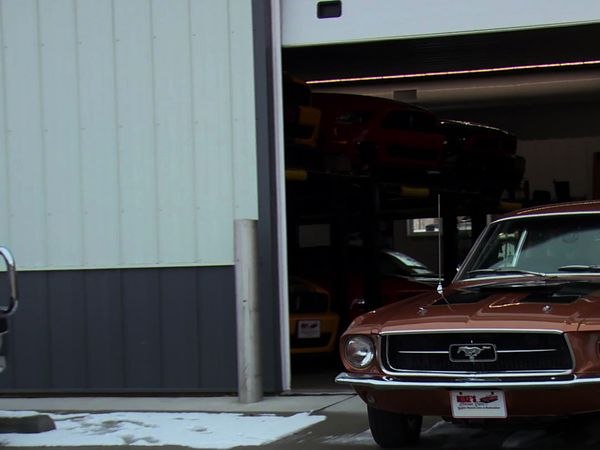 Car Hunters - Fastbacks and the Furious