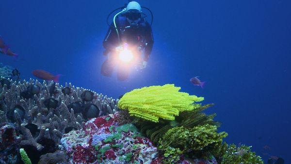 World's Best Beaches - Pacific