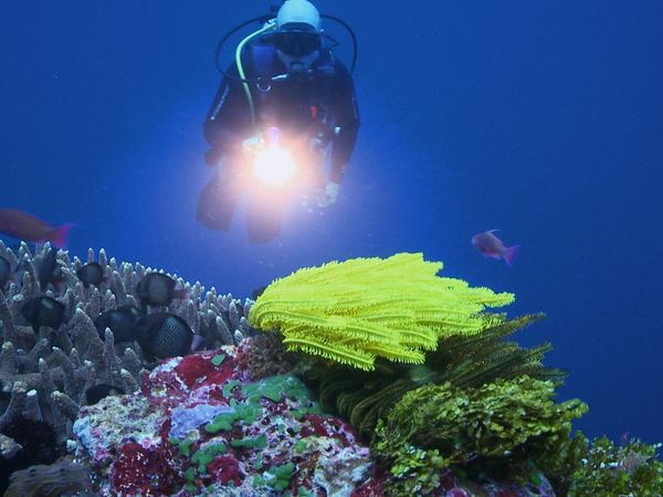 World's Best Beaches - Pacific