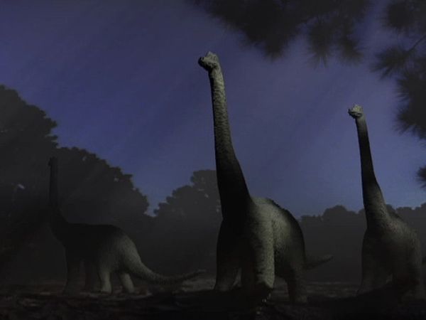 Dinosaurs: Inside and Out - Land of the Giants