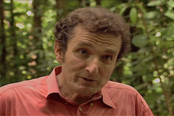 Diagnosis Unknown - Island Fever