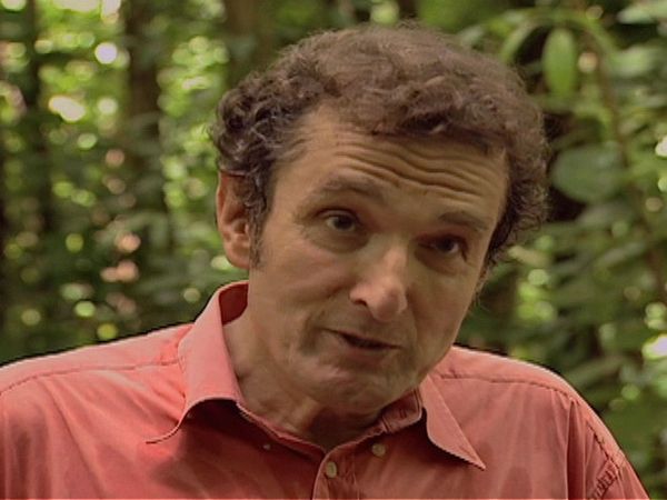 Diagnosis Unknown - Island Fever