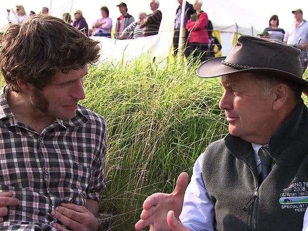 The World Sheep Dog Trials - The World Sheep Dog Trials