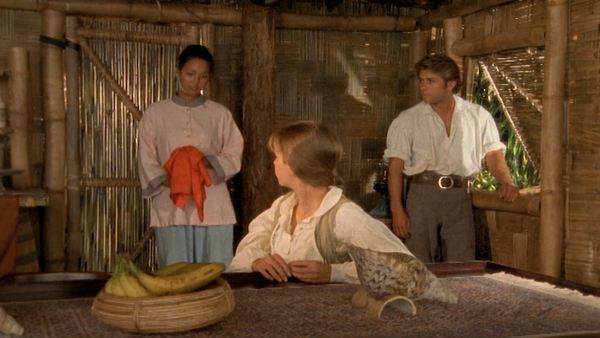 The Adventures of Swiss Family Robinson - Captives