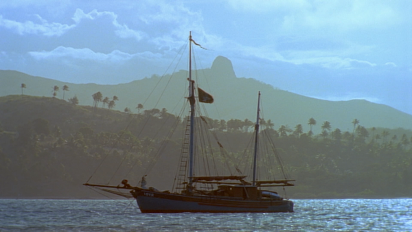 The Adventures of Swiss Family Robinson - Invasion