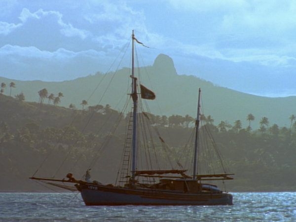 The Adventures of Swiss Family Robinson - Invasion