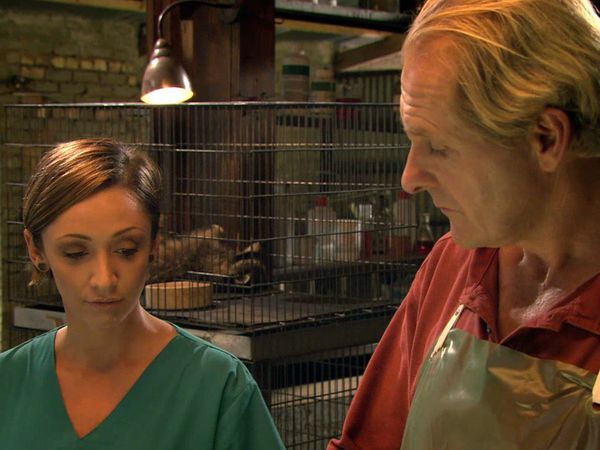 Wild at Heart - Episode 8