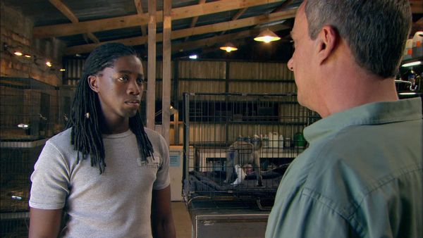 Wild at Heart - Episode 8