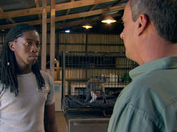 Wild at Heart - Episode 8