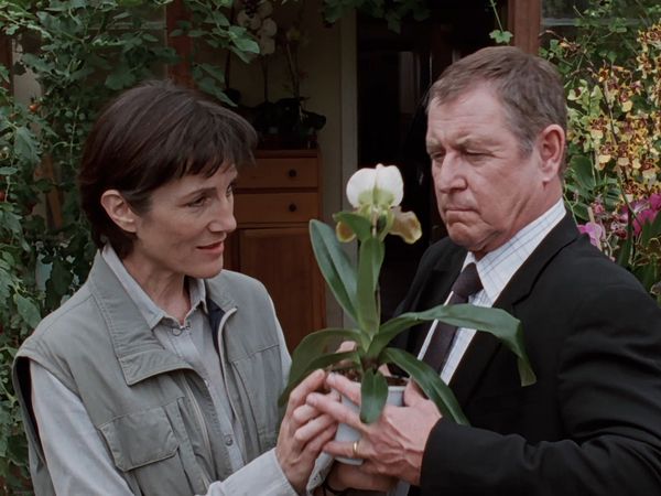 Midsomer Murders - Orchis Fatalis