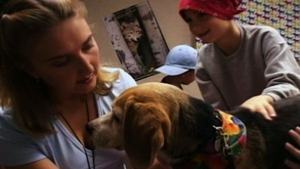 It's A Miracle - 425. Field of Dreams, Dani's Tale, Acres of Hope, Holly's Helping Hand