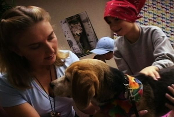 It's A Miracle - 425. Field of Dreams, Dani's Tale, Acres of Hope, Holly's Helping Hand