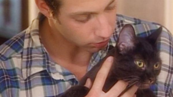 It's A Miracle - 212: The Christmas Box; Twister Survival; Brat the Cat; Lifeguard Down