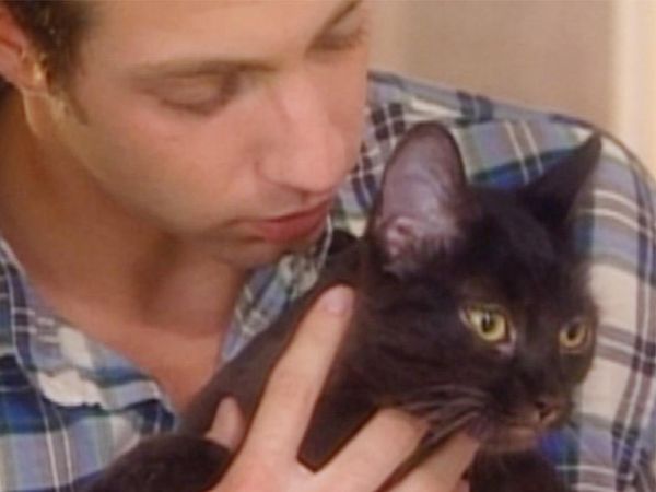 It's A Miracle - 212: The Christmas Box; Twister Survival; Brat the Cat; Lifeguard Down