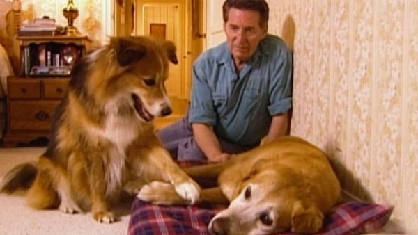 It's A Miracle - 201: Jennifer's Instinct; Dog Angel; O.R. Miracle; High School Reunion
